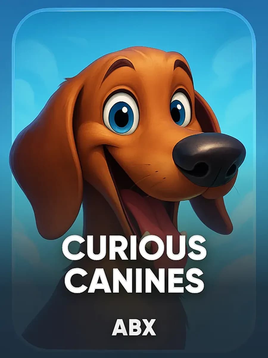 Curious Canines