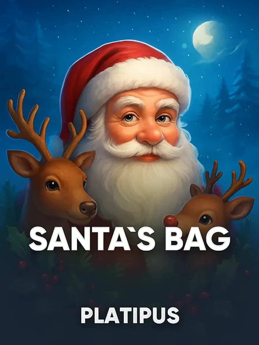Santa`s Bag